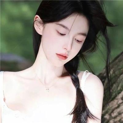 大独裁者秘史